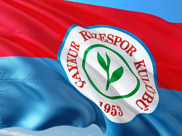 德甲风采 德甲风采