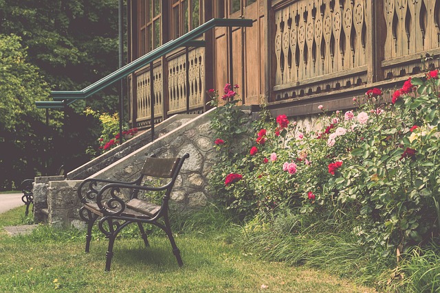 不仅让影片 不仅让影片