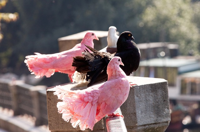 证券犯罪时 证券犯罪时