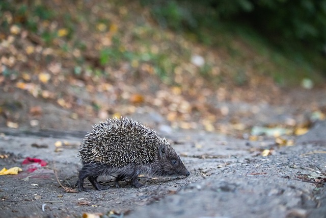 站在巨人的 站在巨人的