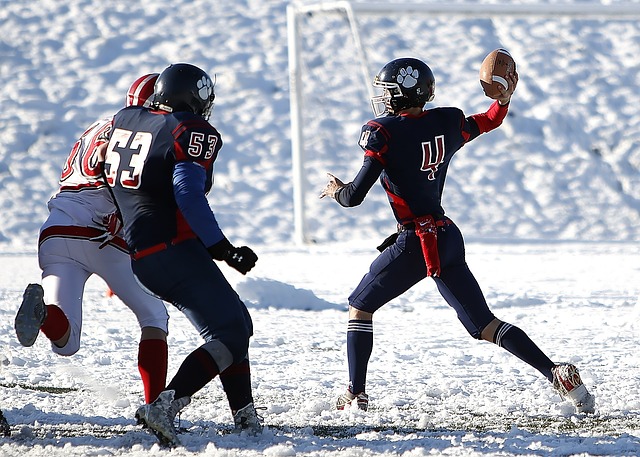 程度上是 程度上是