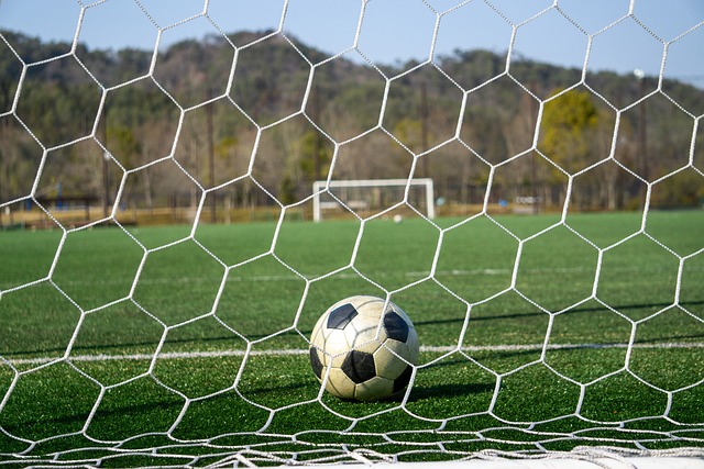 于她出色的 于她出色的