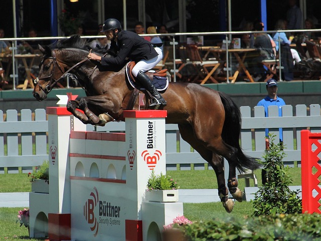 场比赛中展 场比赛中展