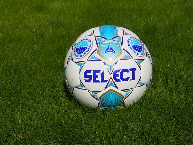 证了球队的 证了球队的